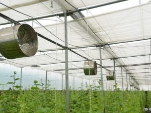 Greenhouse Air Circulation Fan