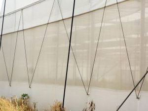 Greenhouse Insect Net