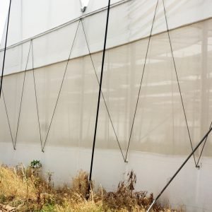 Greenhouse Insect Net