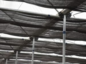 Greenhouse Gutter