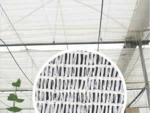 Greenhouse Shade Net