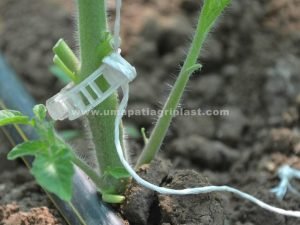 Plant Support Clip