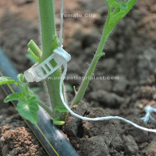 Plant Support Clip
