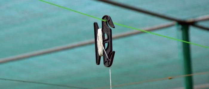Trellising H-Hook