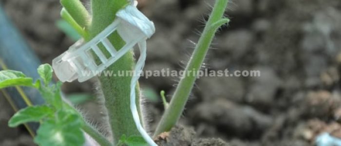 Plant Support Clip
